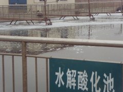 ˮ���ữ��